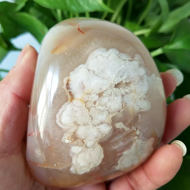 

Natural stone The cherry blossom agateSardonyx agate palm stones playthings small stones and crystals healing crystals