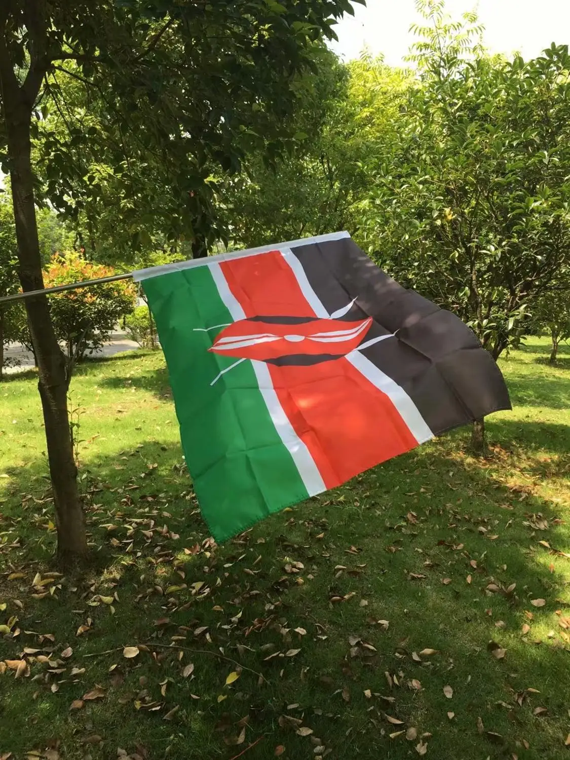 Бесплатная доставка Кения государственные флаги 90*150 см полиэстер подвесной флаг