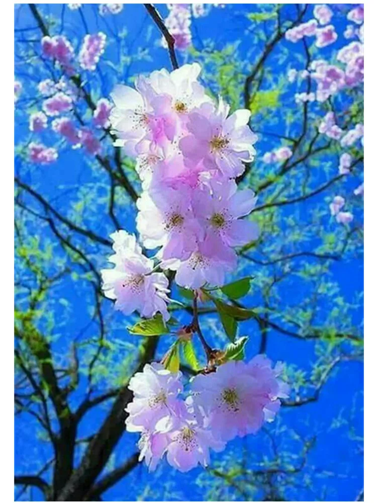 

DIY 5D full circle diamond painting flower landscape pattern cross stitch mosaic rhinestone home decoration gift