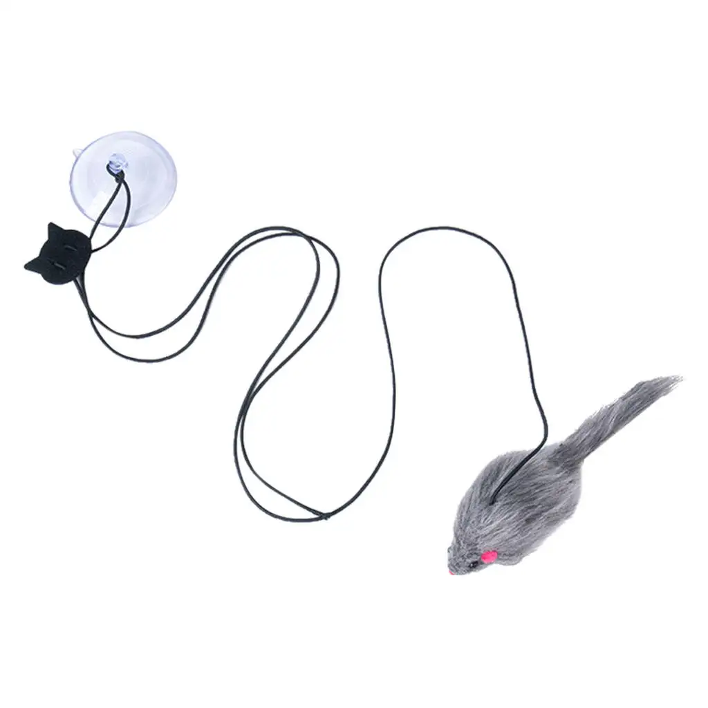 

Игрушка для домашних животных, игрушки для кошек и мышей, тренажер для кошек и котят, подвесной от двери, окна, моря, клетки для кошек