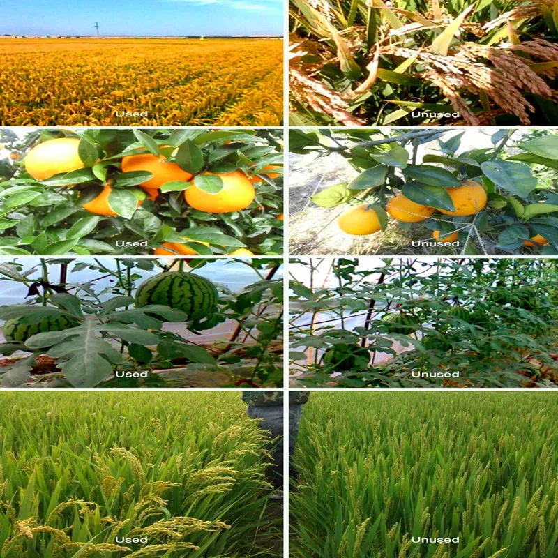 100 г MgSO4 сульфат магния для предотвращения желтых заболеваний цветочное