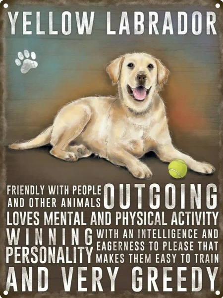 

Желтый лабрадор, жестяной знак, номерной знак, домашний декор для стен, художественный знак