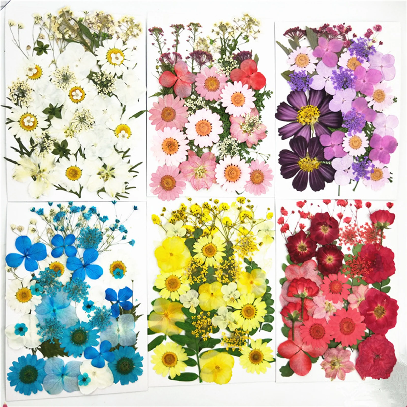 

1 Bag Real Dried Pressed Flowers Art Crafts Scrapbooking Epoxy Resin Jewelry