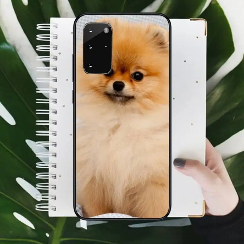 

Pomeranian dogs dog Phone Case For Samsung Galaxy S5 S6 S7 S8 S9 S10 S10e S20 edge plus lite
