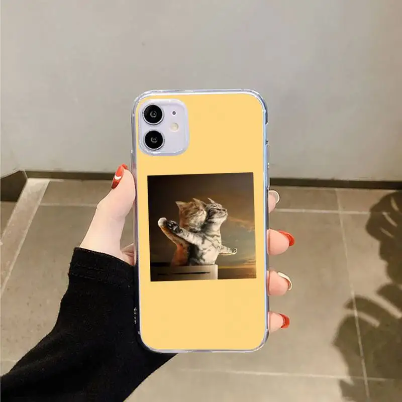 

Aesthetic Cute Animal Cat Phone Cases Transparent for iPhone 6 7 8 11 12 s mini pro X XS XR MAX Plus