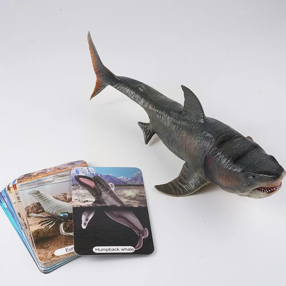 Морские животные Megalodon Beluga фигурки большой акулы экшн-фигурки голубая игрушка