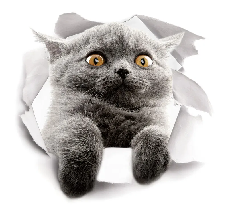 3d яркие наклейки на стену с изображением кота Наклейки стены холодильник туалет