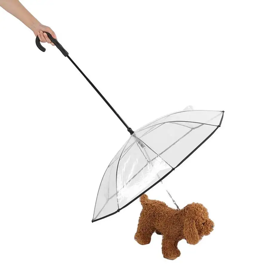 Дождевик с медведем Тедди прозрачный полиэтиленовый зонт для маленьких собак
