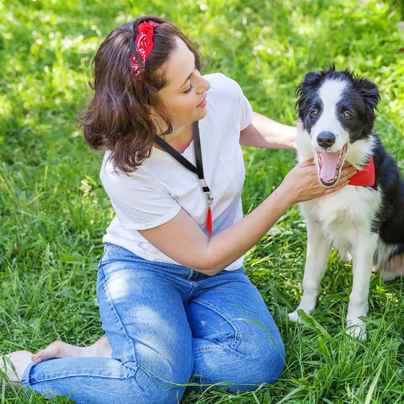 

4Pc Cool Colorful Pet Dog Training Whistle for Dogs Puppy Sound Portable Flute Plastic Pet Doggy Trainning Whistles Pets Supply