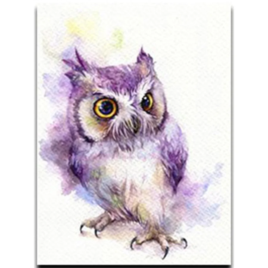 

5D DIY Diamond Painting animal Owl colors Full Square&Round Diamond mosaic paint Diamond embroidery Cross stitch home decor Art