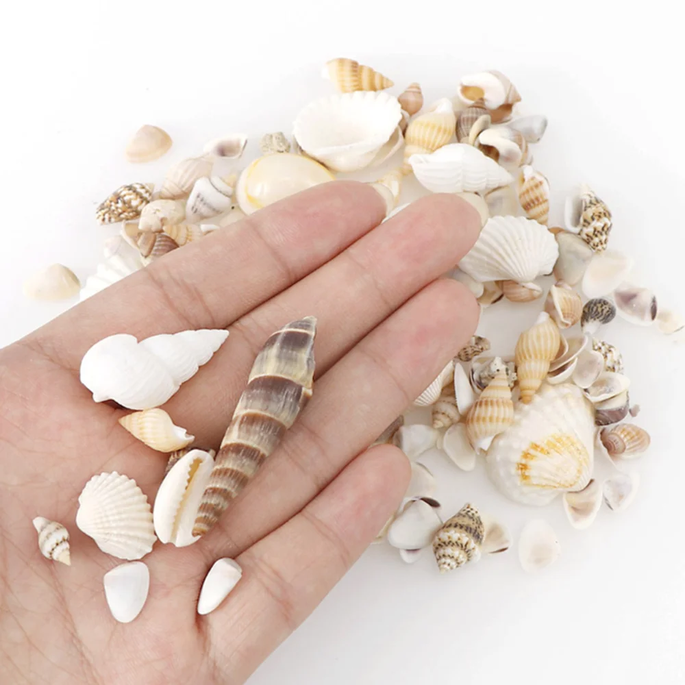 Natural Shell Conch Rsein Fillings Tools Ocean Style Filler Decoration Shell for DIY Epoxy Resin Mold Jewelry Making