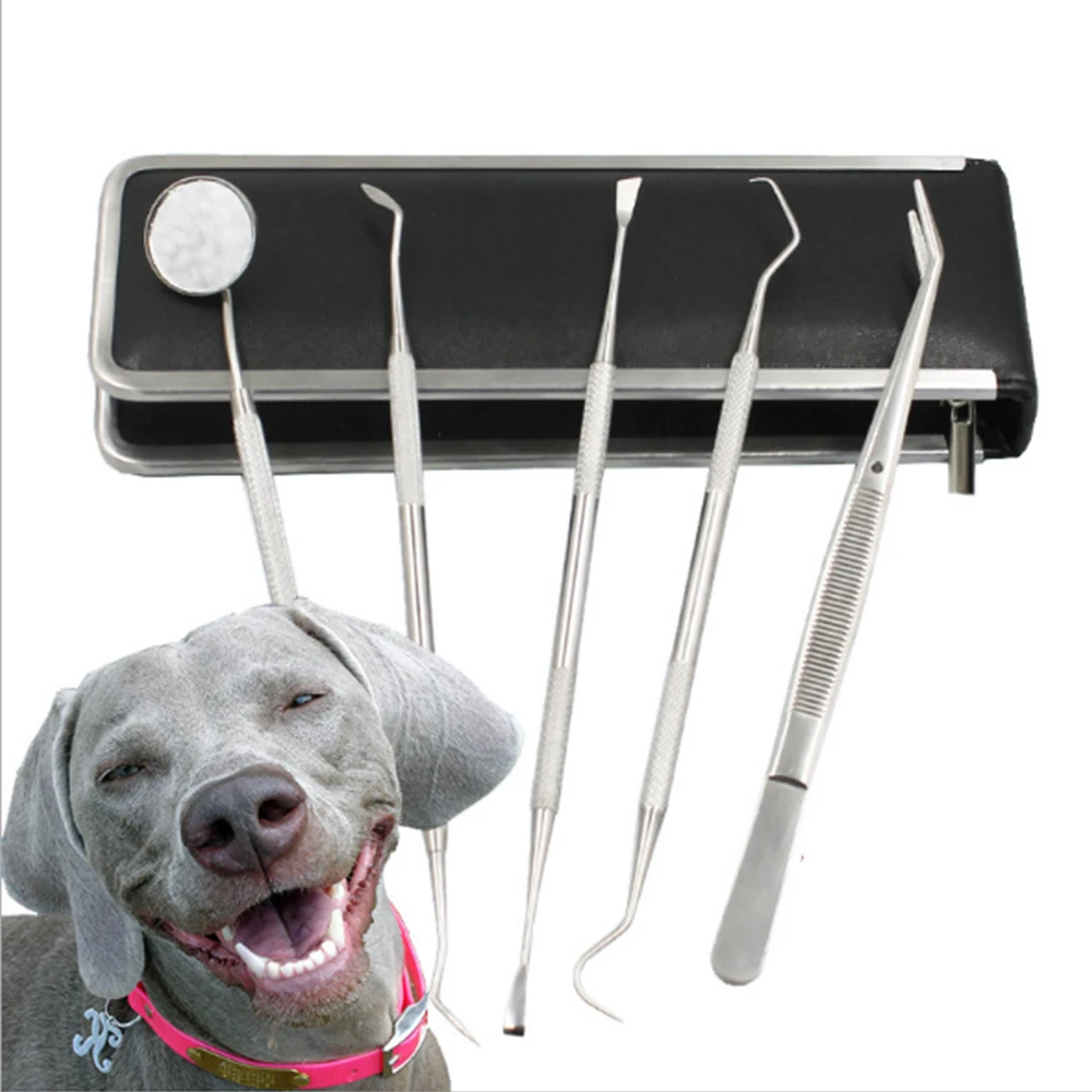 Set Pet Tartar Remover Scaling Tools With Bag Beauty Tooth Cleaning Dental Tool For Dog Health Supplies | Дом и сад