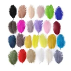 Натуральные страусиные перья, 10 шт.лот, 15-20 см6-8 дюймов