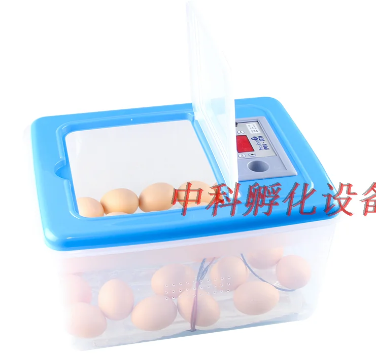 Инкубатор для голубей миниатюрный автоматический инкубатор семян курицы фазана