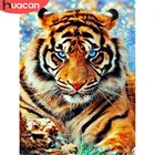 HUACAN картины по номеру Тигра Животных комплекты, украшение для дома живопись по номеру рисунок на холсте Ручная роспись искусство подарок