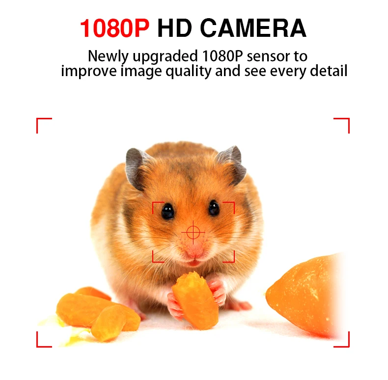 HD1080P мини-камера безопасности инфракрасного ночного видения мини DV Camara с 180 градусов вращающийся объектив обнаружения движения