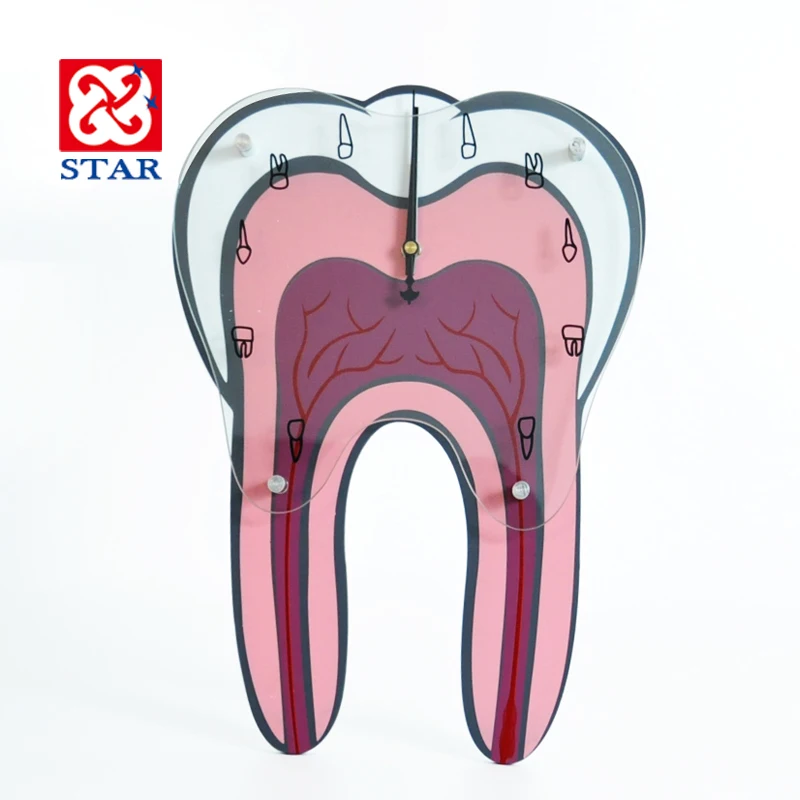 

Dental Clinic Wall Clock Wood Office Wall Decorations Oral Hospital Yellow Tooth Clocks Wall Watch Cultural Duvar Saatleri SC594