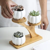 ceramic owl garden pots set modern pumpkin flowerpot nursery succulent plant vase 3 bonsai planters with 3 tier bamboo shelf