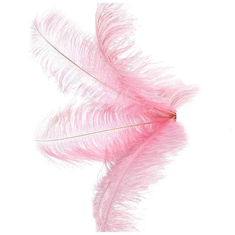 

10 pcs Natural Ostrich Feathers Wedding Party Decoration Pink 20-25cm