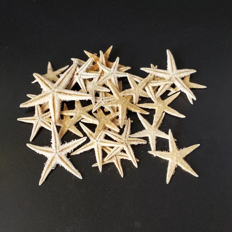 

HappyKiss20pcs 1-2cm 2-3cm Mini Starfish Craft Decoration Natural crafts Sea Stars DIY Beach Cottage Wedding Decor hot shells