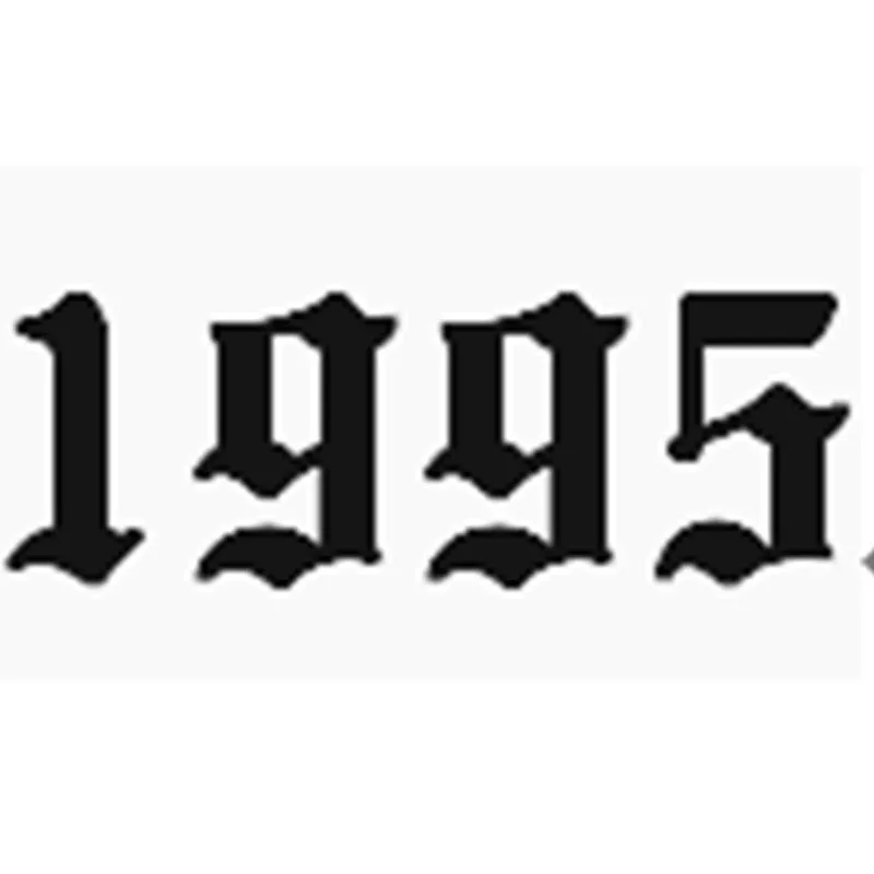 1995 Нержавеющая сталь год номер на заказ кольцо для женщин золотые, серебряные кольца женские розы кольцо Anillos Mujer номер обручальное кольцо ювелирные изделия - Цвет основного камня: 1995