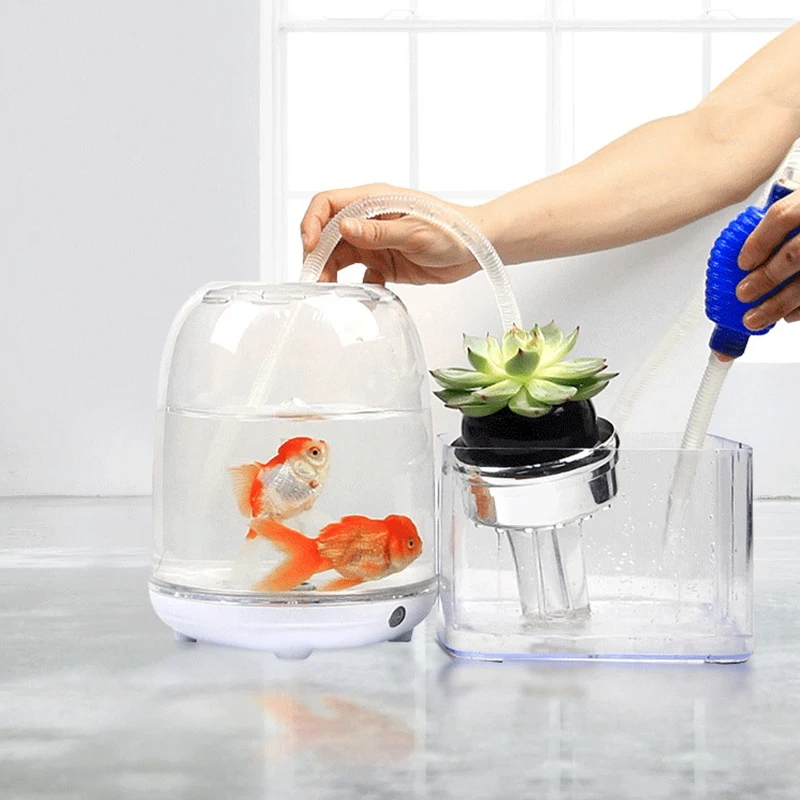 Small Fish Tank Promotes Healthy Environment for Plants and Desktop Betta Neon Etc | Дом и сад