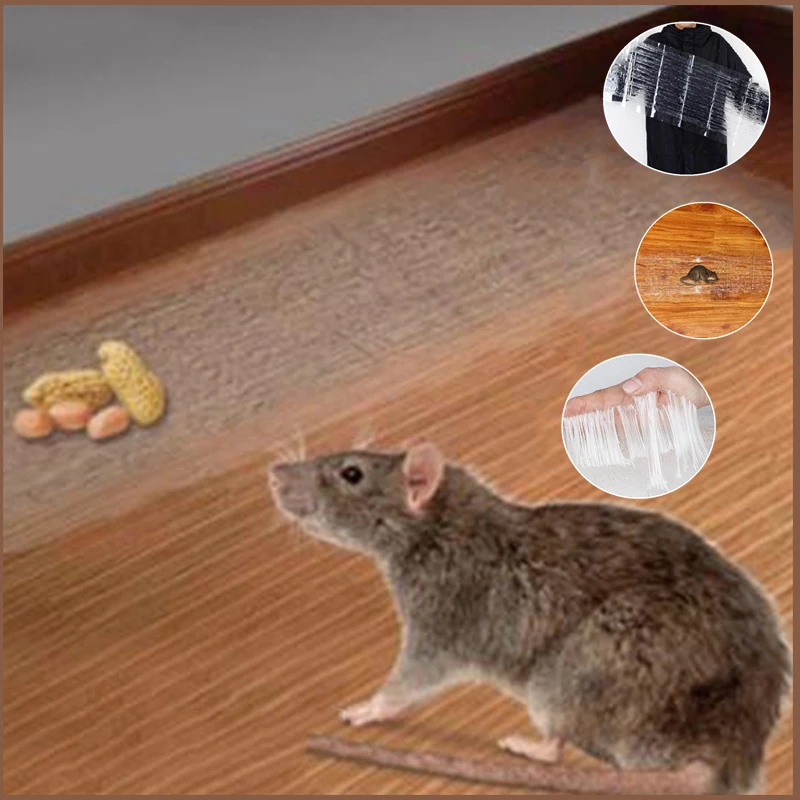 

Waterproof Killing Mouse Rat Trap Killer Clear Invisible Mouse Glue Trap For Indoor Outdoor Mice Mouse Board Sticky