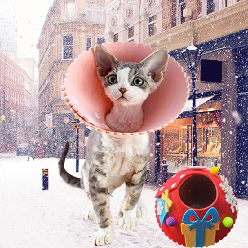 

Милый ошейник для кошек, ошейник для домашних питомцев, ошейник для защиты от укусов, аксессуары для собак и котят