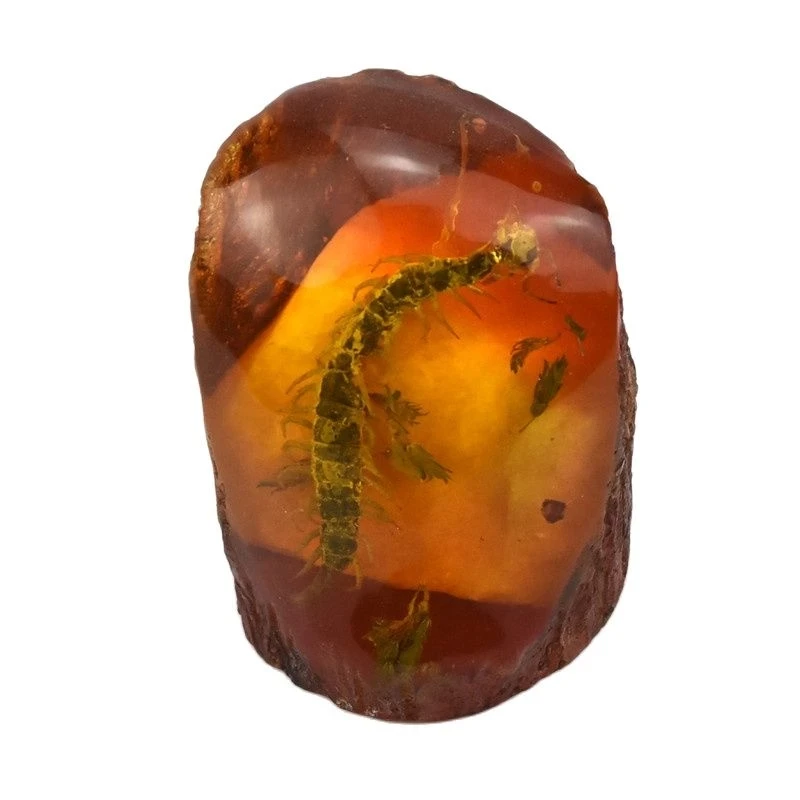 

Chinese Collectible Rare Amber Inner Inlay Centipede True Insect Specimens Animal Statue Small Gift