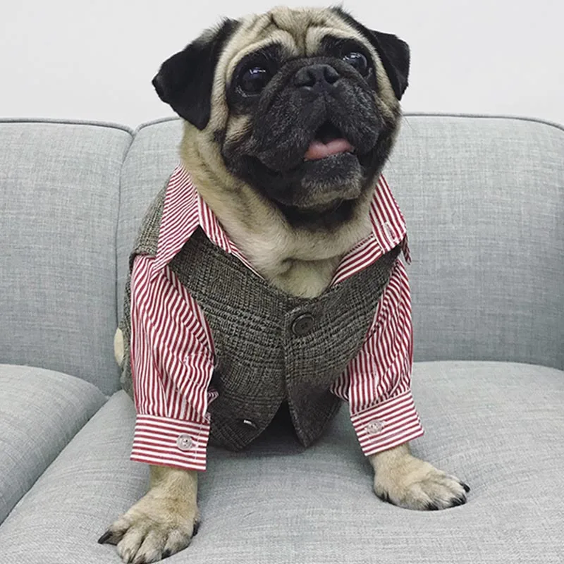 Модная одежда для собак полосатая рубашка питомцев французский бульдог тонкая