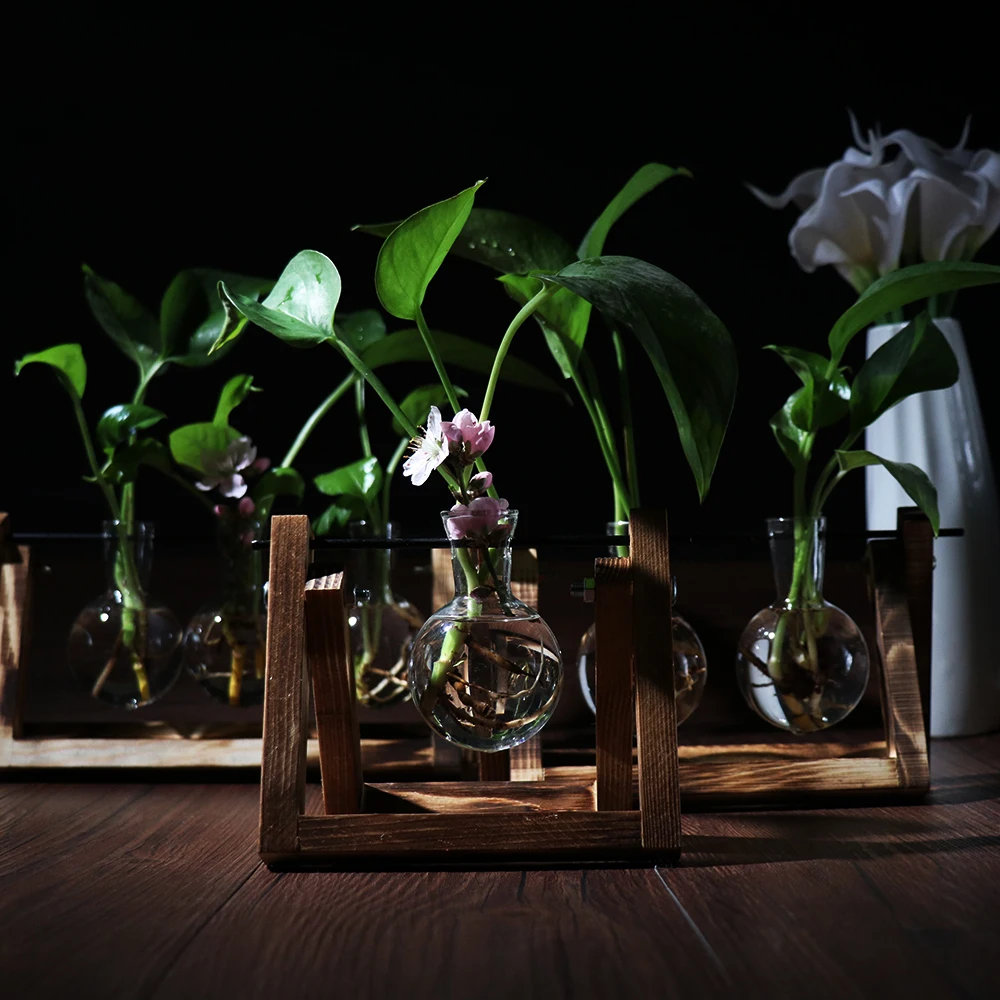 

Hydroponic Plant Transparent Wooden Frame Vase Desktop Decoration