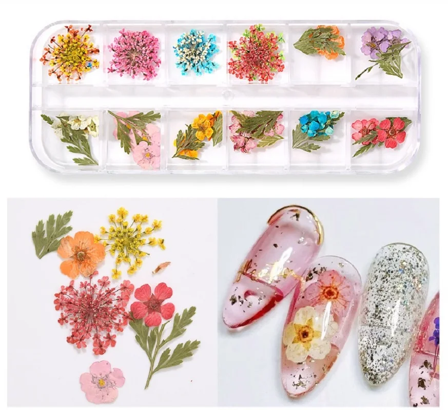 

60pcs Mix Color Nail Art Dry Flower Small Natural Dried Flower Nail Jewelry Nail Supplies for Professionals Nails Art Dekor