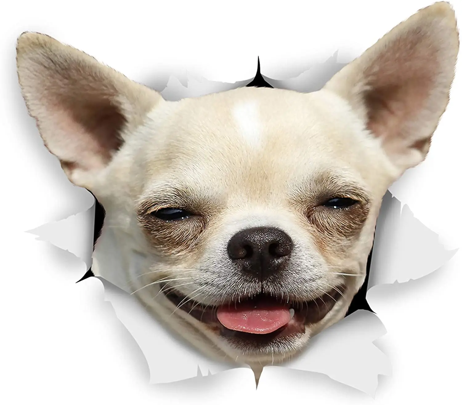 

Winston & Bear 3D Dog Stickers - - Happy Chihuahua for Wall, Fridge, Toilet and More