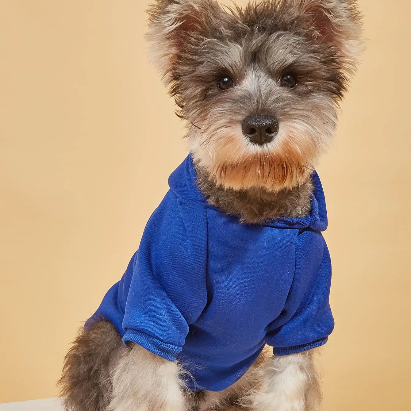 

Рубашка для кошек и собак Жилет Одежда для питомцев, милая модная футболка для домашних животных, для маленьких и средних собак, подходит дл...