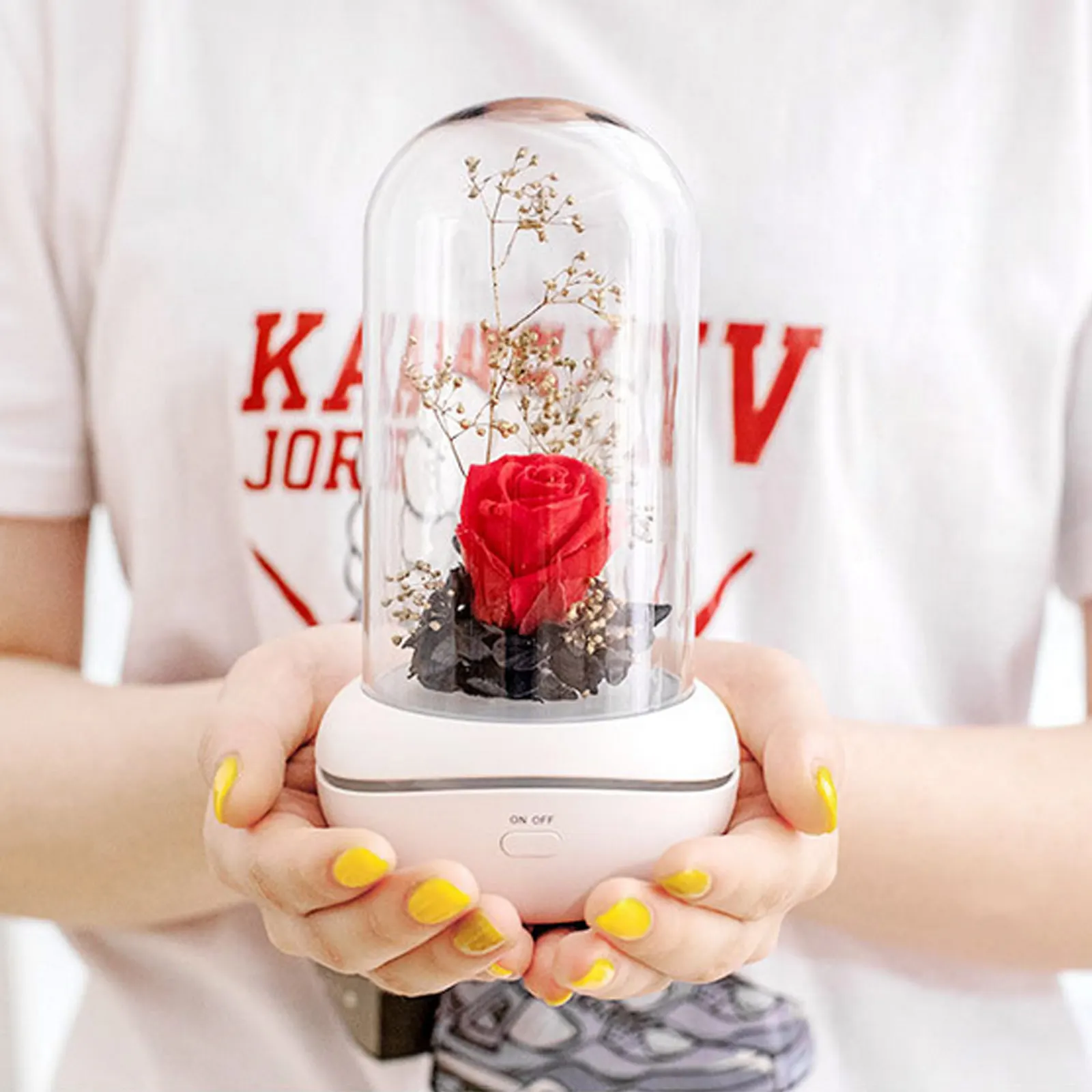 

Behogar USB Rechargeable Eternal Rose Flower Essential Oil Aroma Diffuser Lamp Light for Valentines Mothers Day Birthday Gifts