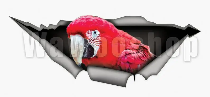 

2021 Red macaw parrot decal, parrot car sticker, 3d car decal, bird decal