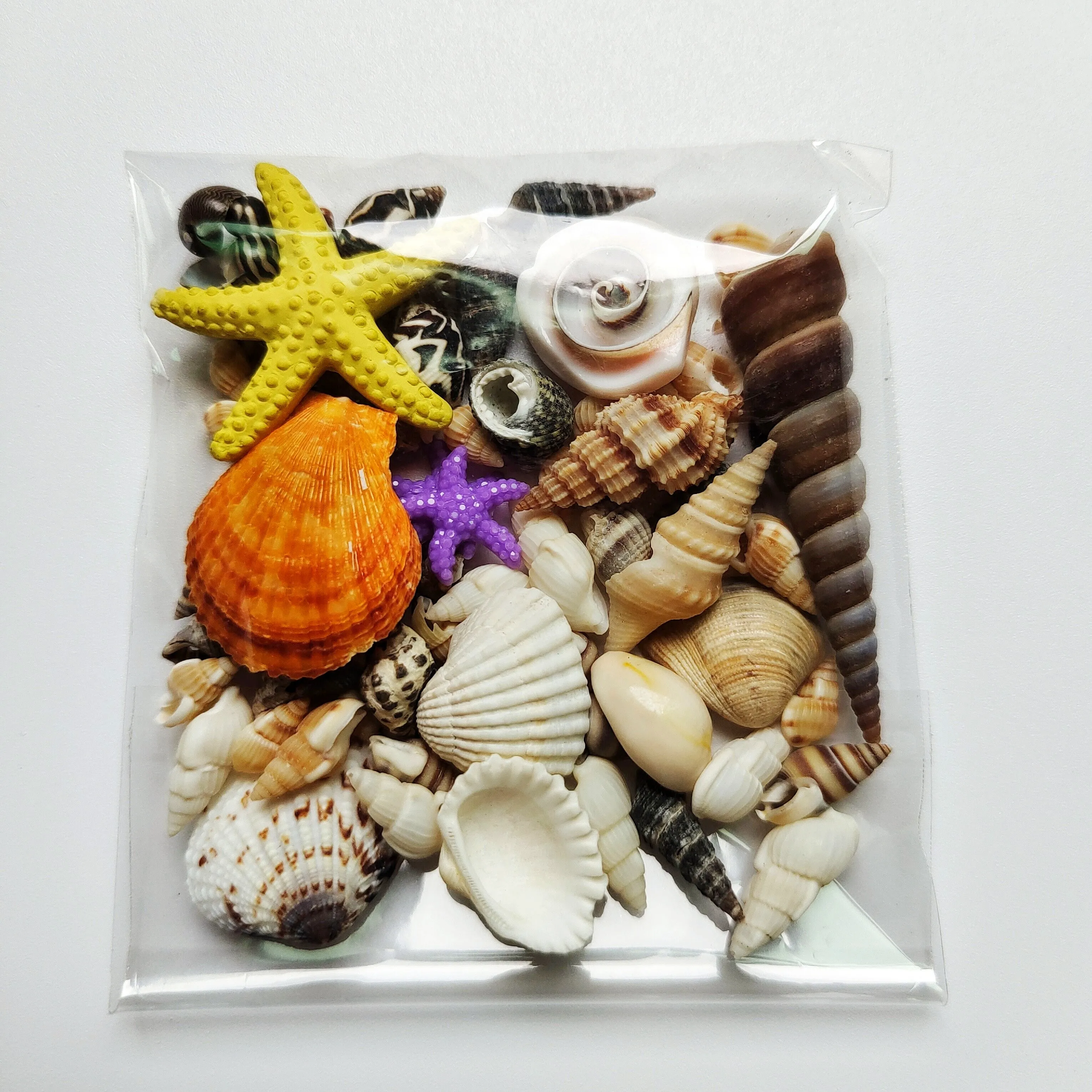 

1 Bag Lots of interesting colored mixed small sea shells aquarium nautical decoration ornaments natural mini conch Mediterranean