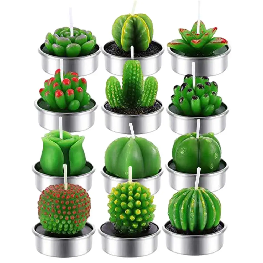 Искусственные растения суккуленты свечи кактус День Святого Валентина роза