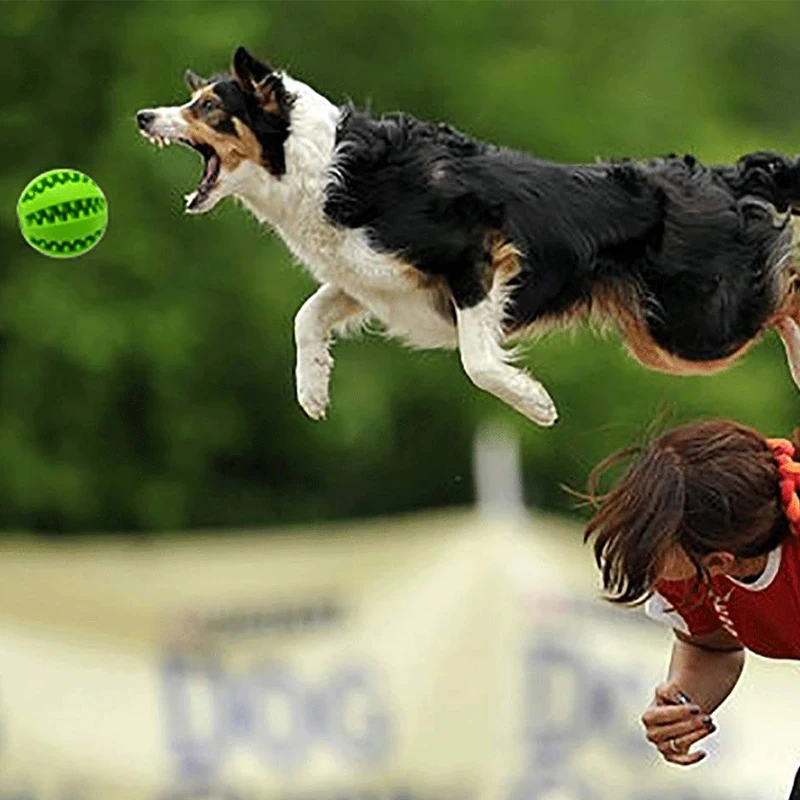 Резиновый Прорезыватель для чистки зубов игрушка маленьких щенков больших