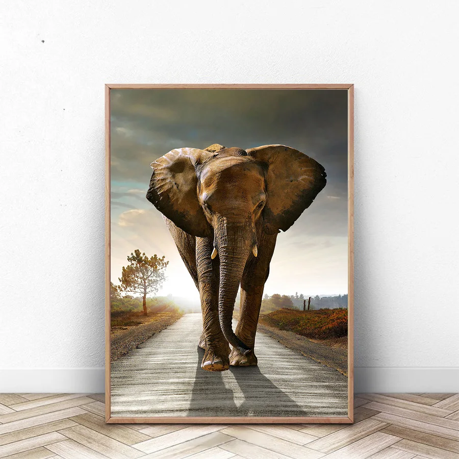 Плакат с дизайном слон животных Печать холст картины для Гостиная декоративная