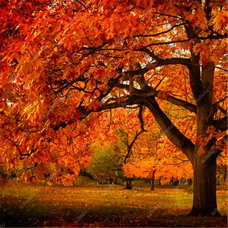 10 шт. искусственный дуб | Дом и сад