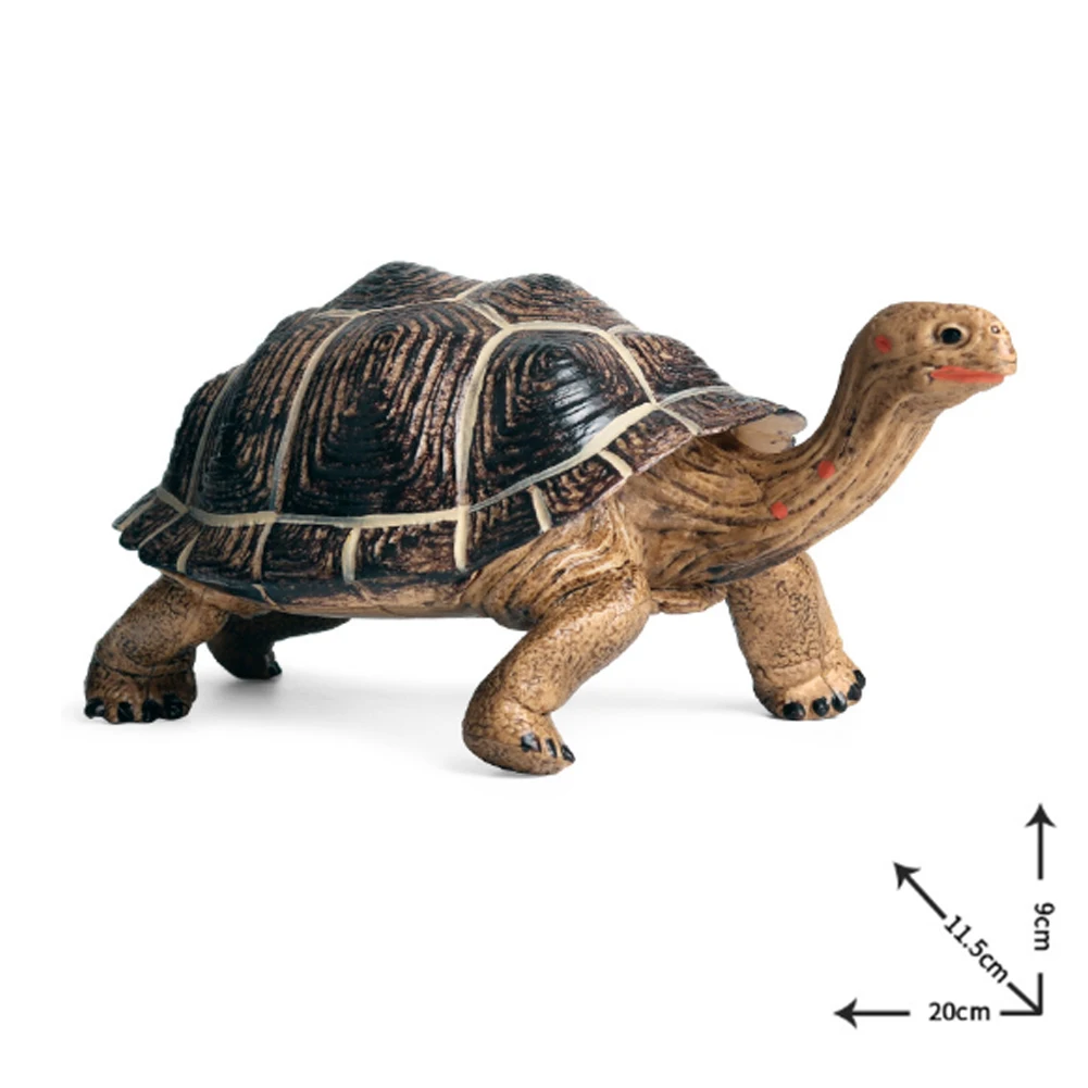 

20x11.5x9cm Simulation Realistic Wild Life Tortoise Sea Turtle Animal Model Toy Figurine PVC Figures Ornaments Collections Decor