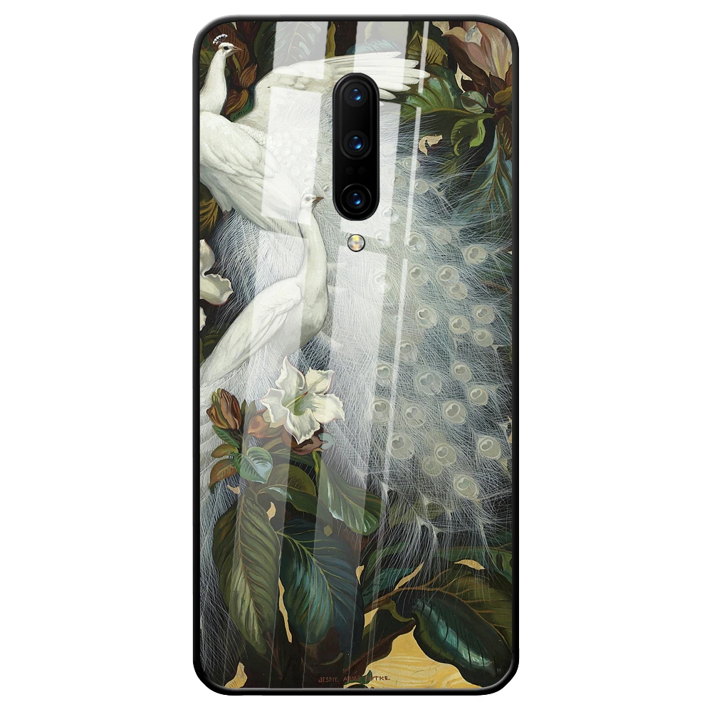 Чехол для телефона OnePlus 7 Pro 6T 6 5 T TPU чехол Павлин Печатный узор закаленное стекло |
