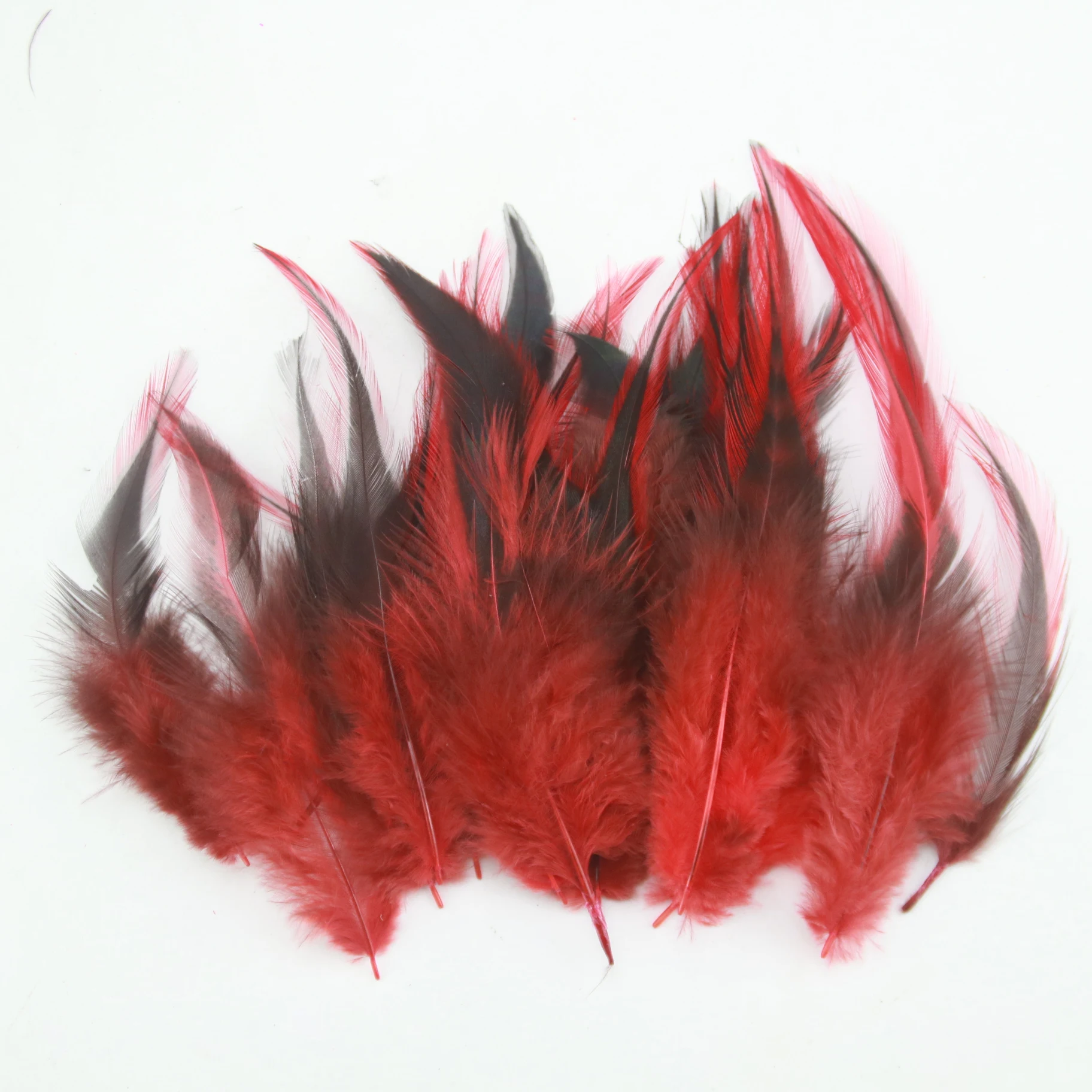 Natural 12-15CM (5-6 inches) Pheasant Silver Edge Pointed Dyed 100PCSDIY Craft Ornament Material Dream Catcher Feather | Дом и сад