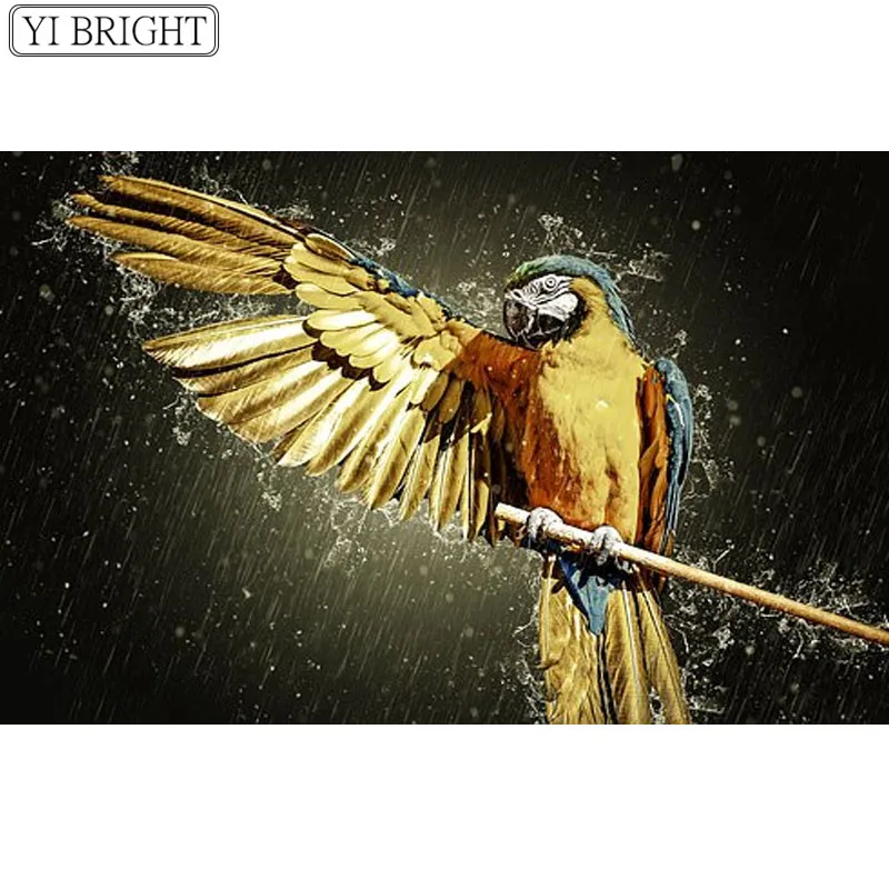 Алмазная 5d картина сделай сам говорящий попугай 3D вышивка крестиком мозаика