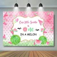 watermelon birthday backdrop one in a melon 1st birthday background summer fruit first birthday party banner