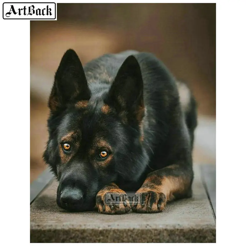 Полноформатная/круглая алмазная живопись с изображением черной собаки 5d