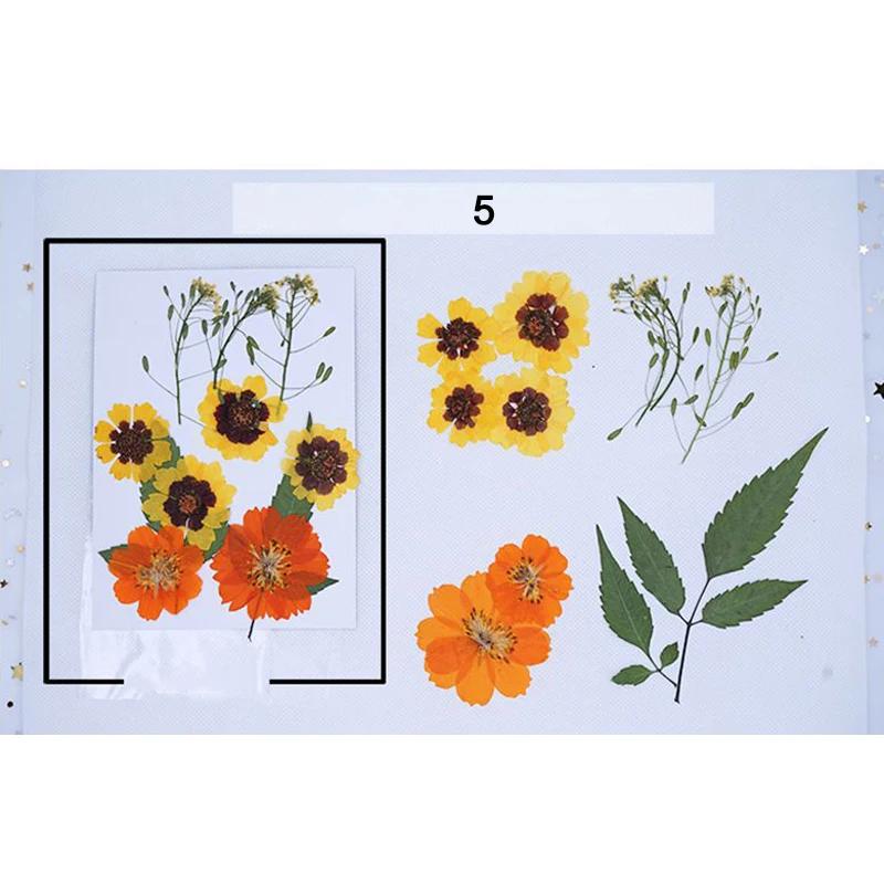 Econom 11-14 pcs / pack Real Dried Pressed Flowers Leaf Plant Mixed Colorful Flower Leaves Petals for DIY Candle Make-up ds99 | Дом и сад