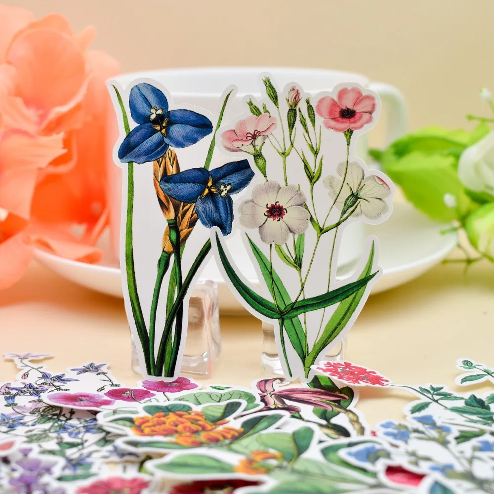 21 шт красивый цветок орхидеи стикеры завод Кливия ручной дневник для счетов