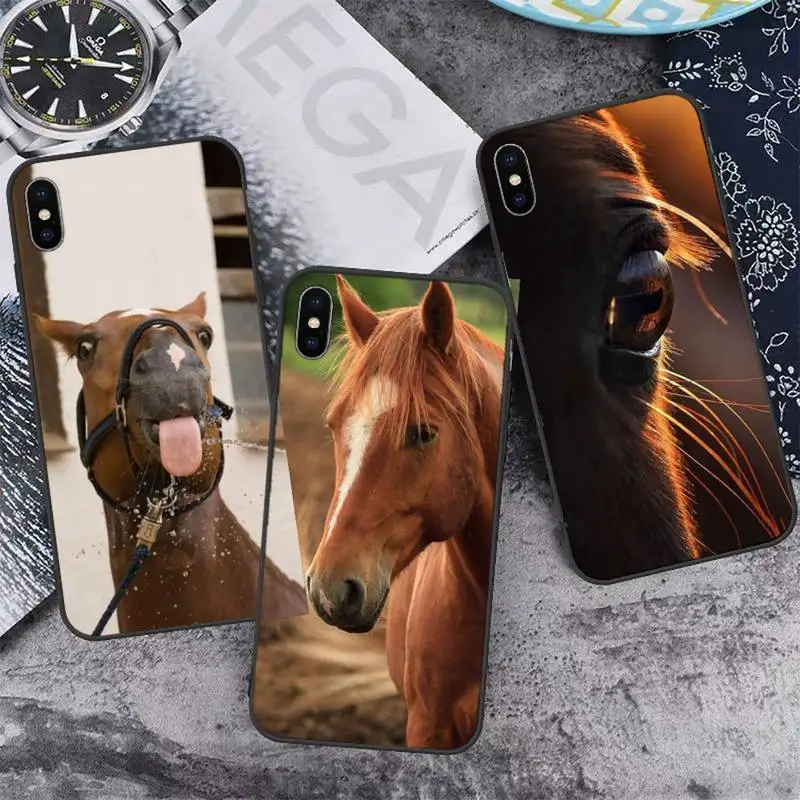 

Frederik The Great beauty horse Phone Case for iPhone 11 12 13 pro XS MAX 8 7 6 6S Plus X 5S SE 2020 XR mini
